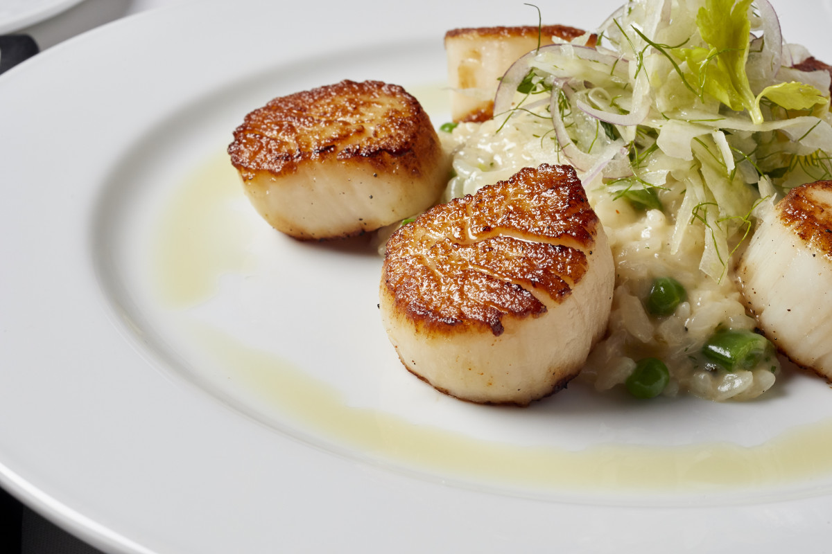 Photo 1 of 4: Ocean Prime - Sarasota
