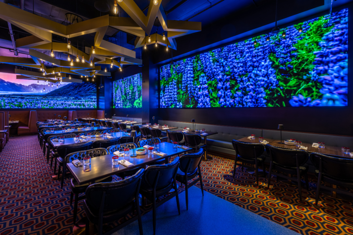 Photo 1 of 4: Planet Hollywood - NYC