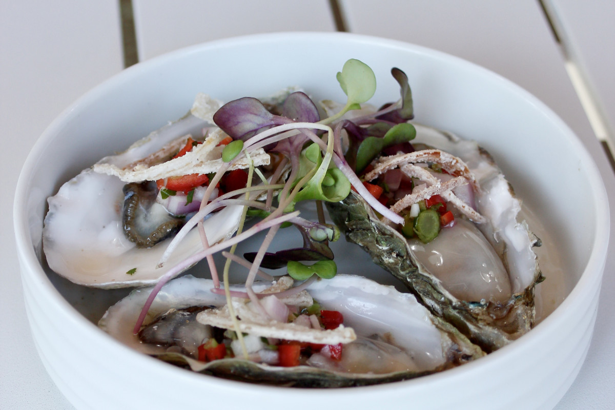 Shoots Fish & Beer - Carlsbad
