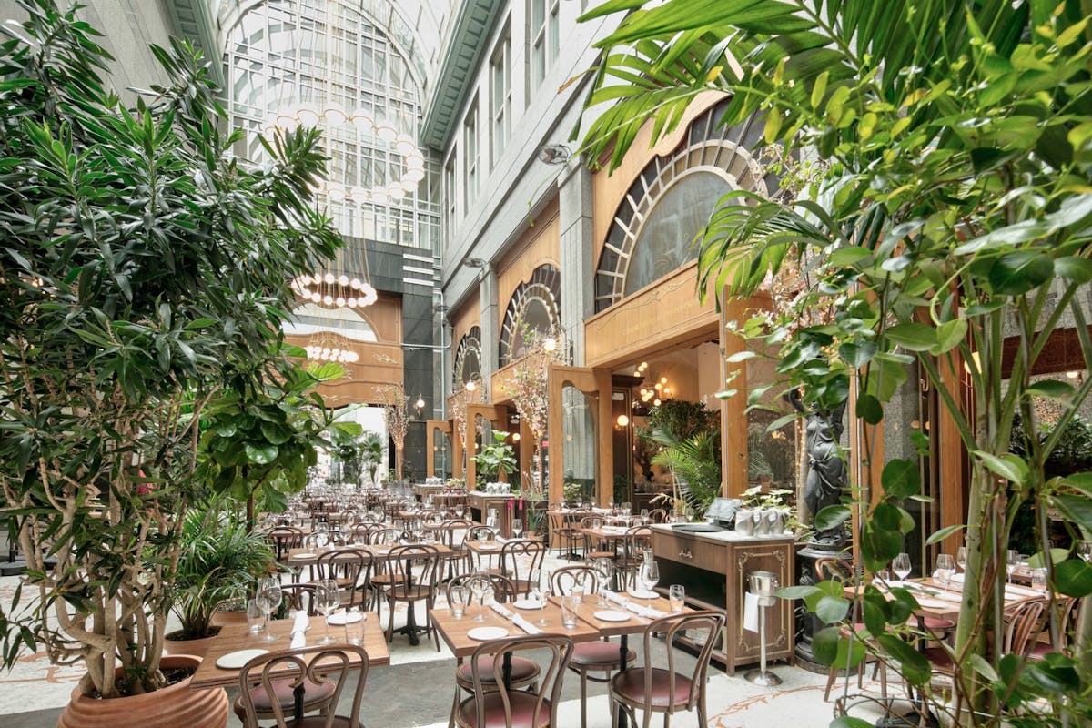 La Grande Boucherie - DC