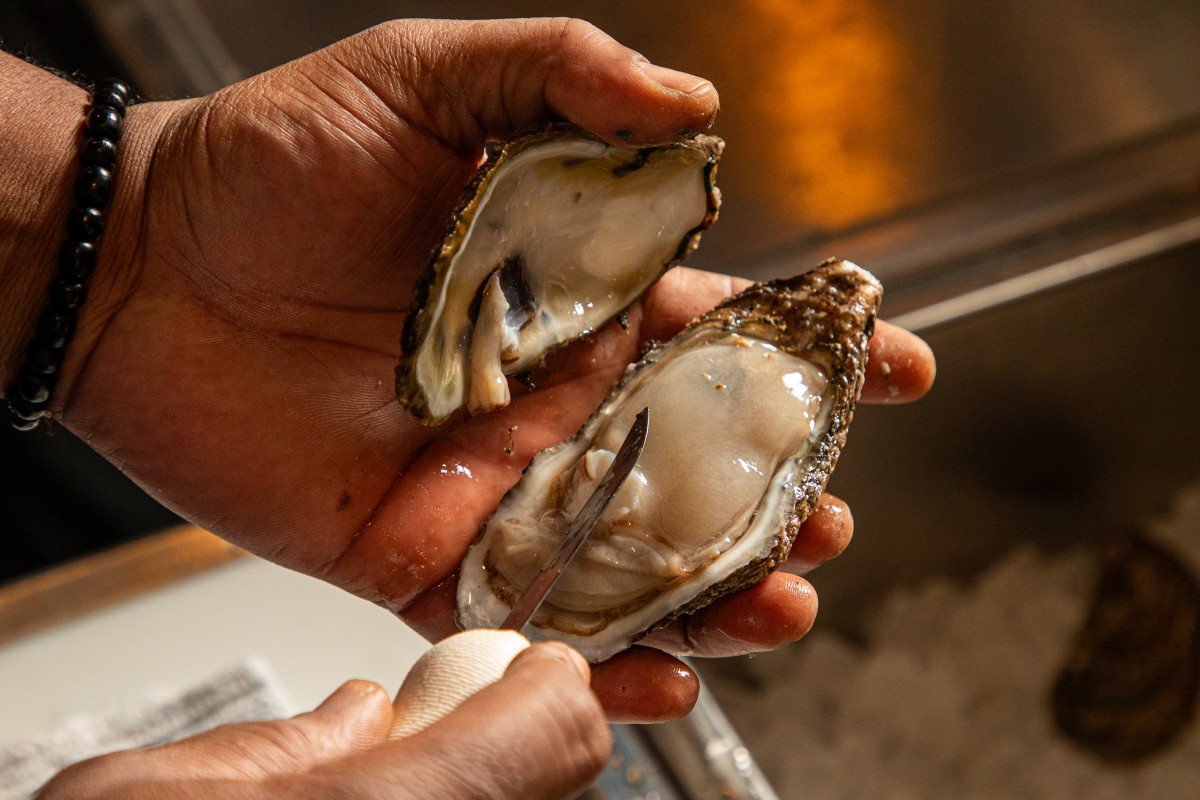 Maria's Oyster Bar