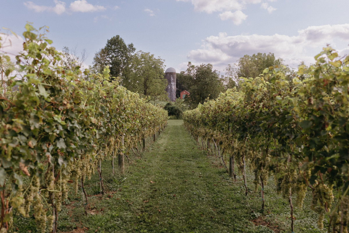 Casa Carmen Farm & Winery