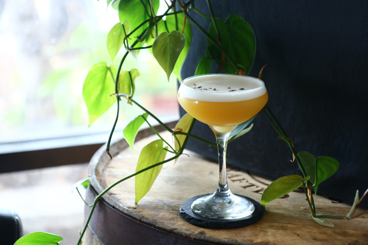 The Temple Kitchen + Bar