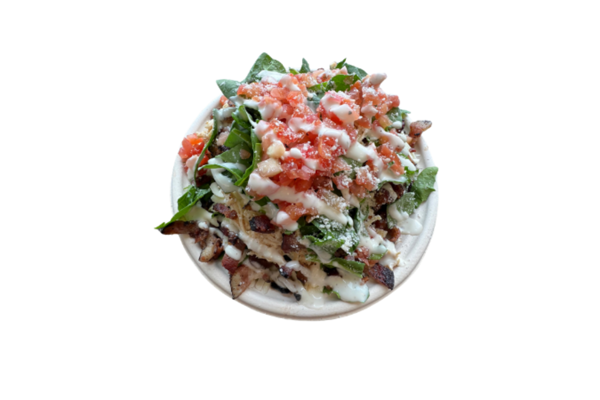 The Quesadilla Company