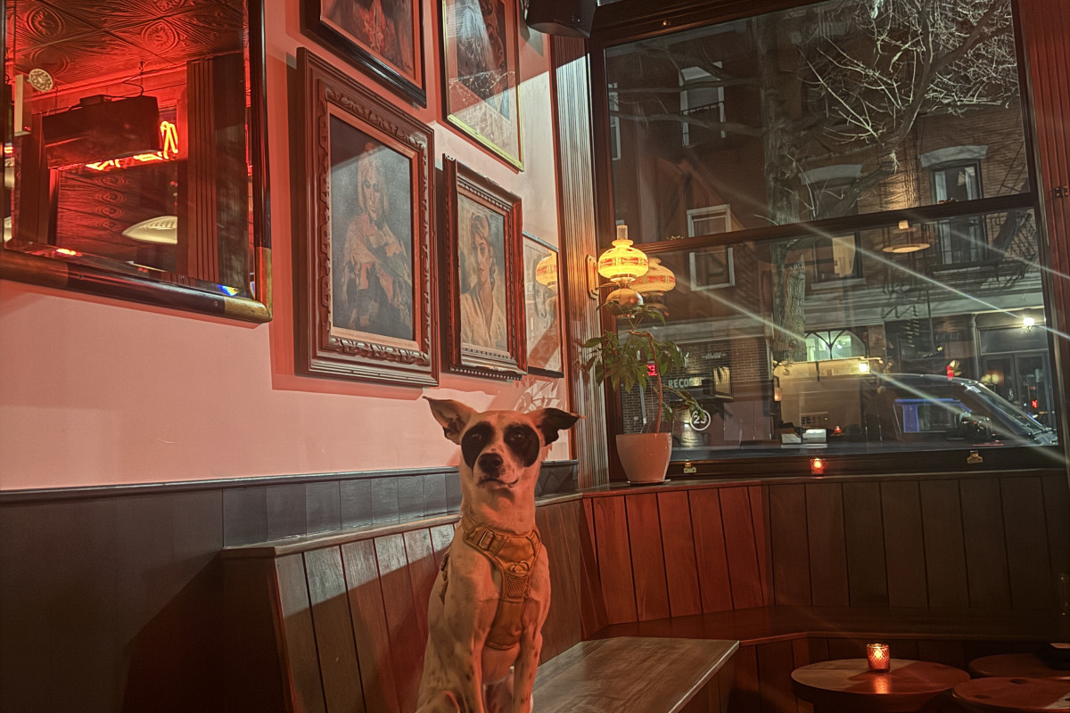 Dolly's Swing & Dive