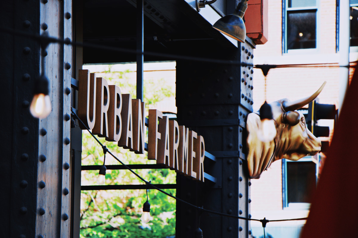 Photo 1 of 4: Urban Farmer