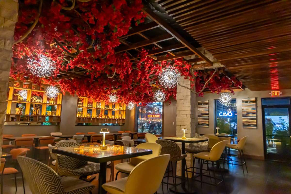 Bloom Bar