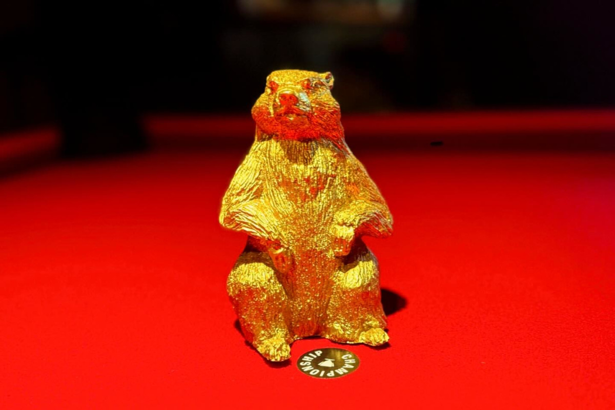 Photo 1 of 4: Golden Gopher