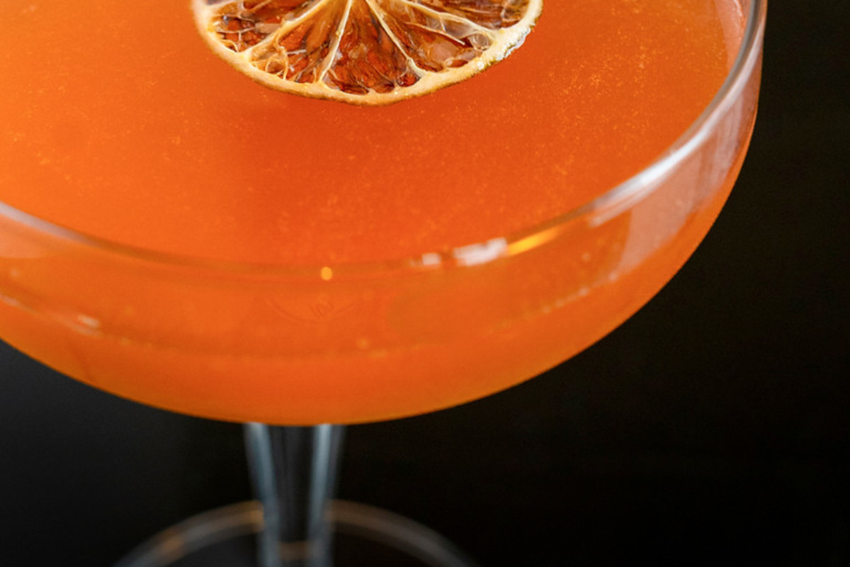 The Wild Dog