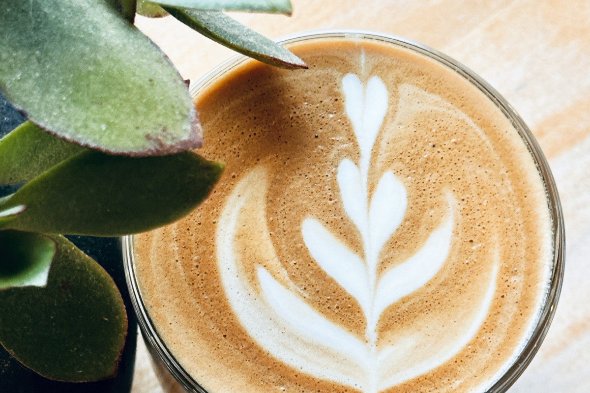 James Oliver Coffee - James Oliver Wyandotte