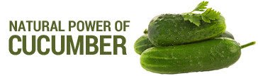 cucomberthumb cucomberthumb