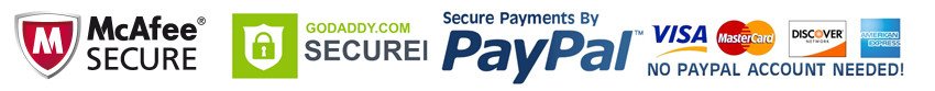 seal2 secure payment by paypal