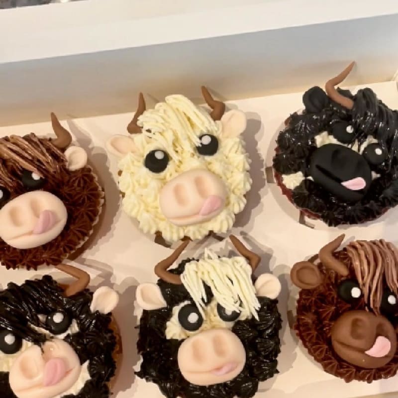 cow shaped cupcakes - Custom cupcakes in Vancouver by Cakeaboo