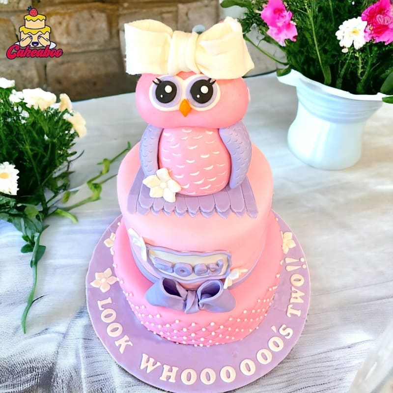 owl custom cake - Custom birthday cake in Vancouver by Cakeaboo