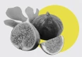 Figs