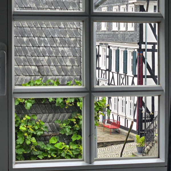 A view outside bedroom window