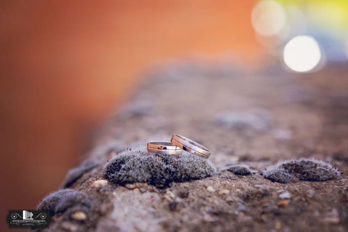 bodas_zaragoza_erick_rodriguez_fotografo__005 boda, zaragoza, erickrodriguez