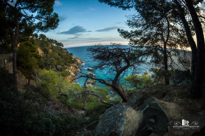Paisaje Costero Lloret de Mar 5 Paisaje Costero Lloret de Mar
