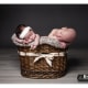fotografía bebe Zaragoza 7