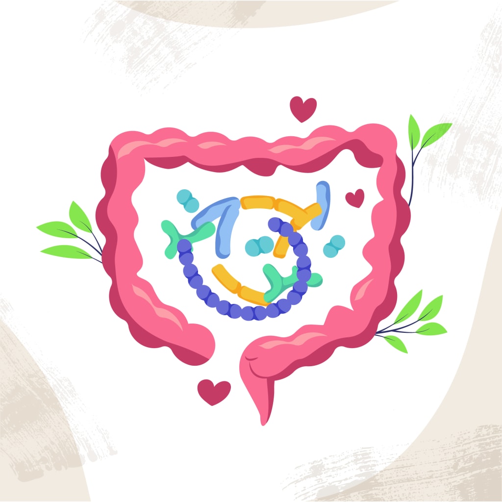 Titelbild zu Gesundheit beginnt im Darm: Dein Schlüssel zu Wohlbefinden