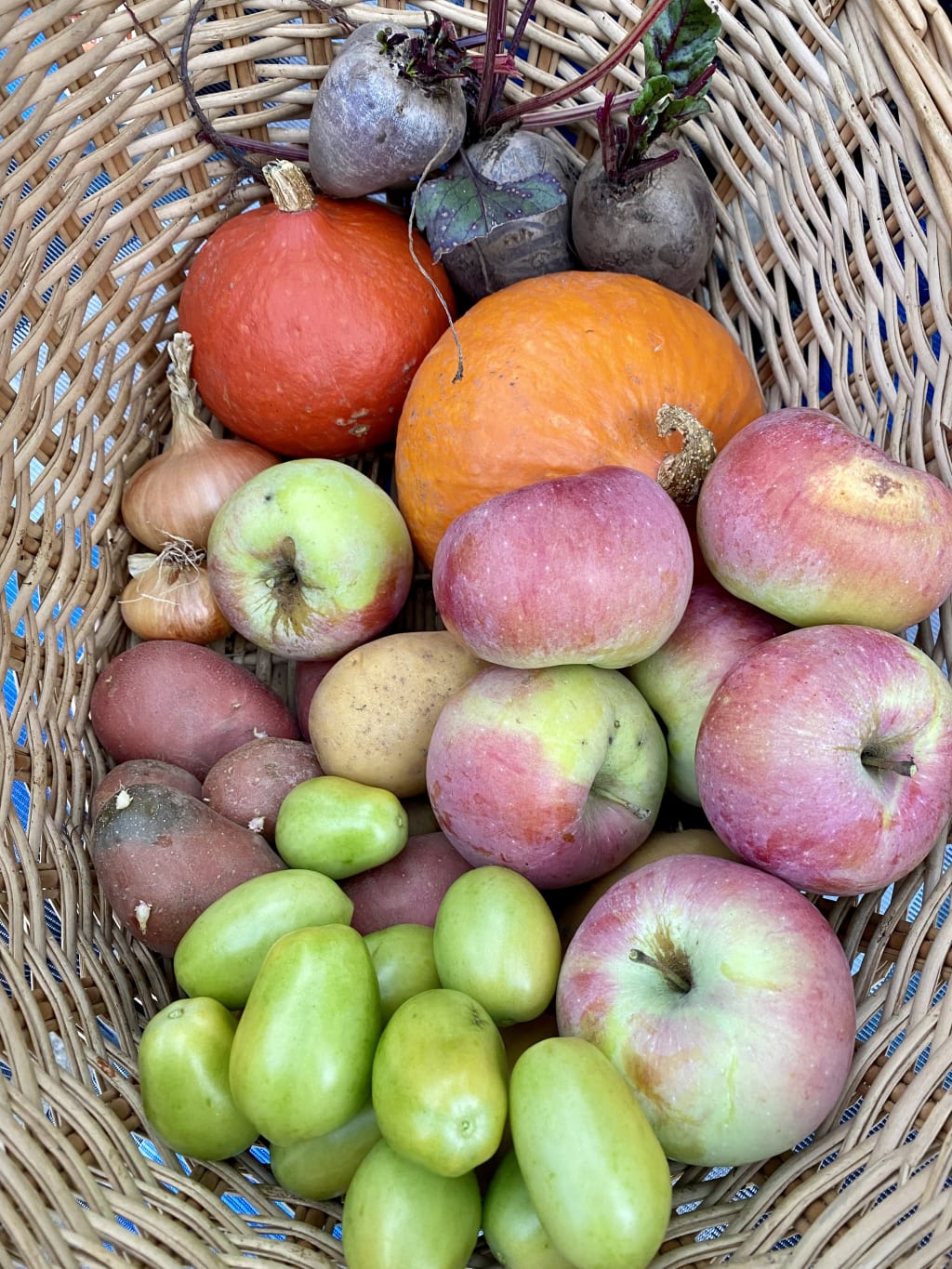 Titelbild zu Gemüse ohne Vitamine? Warum unser Obst und Gemüse an Nährstoffen verliert und was du dagegen tun kannst