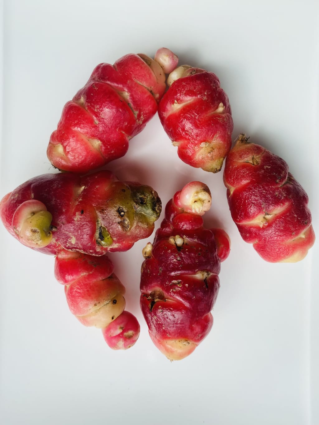 Titelbild zu Die Sauerklee-Knolle – ein verborgenes Juwel aus der Natur