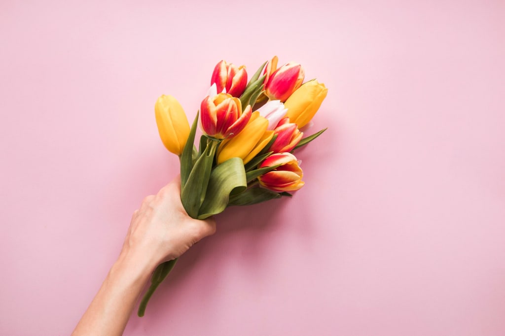 Titelbild zu Her Health, Her Power – Warum Frauen ihre Gesundheit selbst in die Hand nehmen sollten