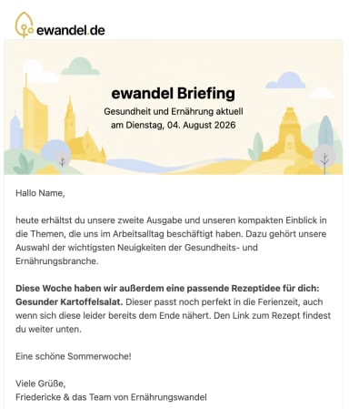 Vorschau des ewandel Briefing Newsletters