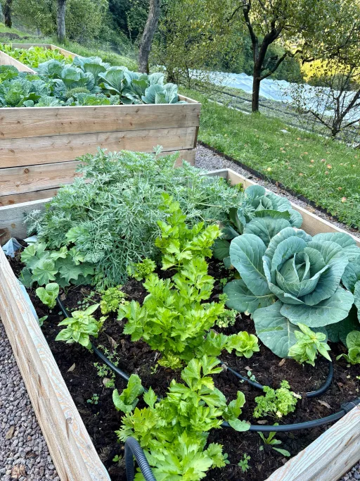 Gartenlabor (3 Modellprojekte)