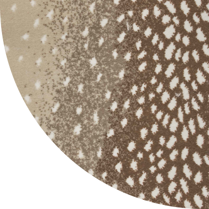 Close up shot of Zahra rug in Fawn