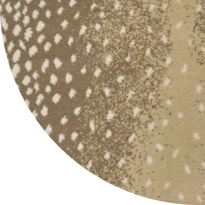 Close up shot of Zahra rug in Tan