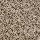 Closeup of Hope Spring Warm Grey Pet Friendly Rug