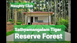 Sathyamangalam tiger Reserve forest | Naughty club | Best resort in Hasanur | B4U