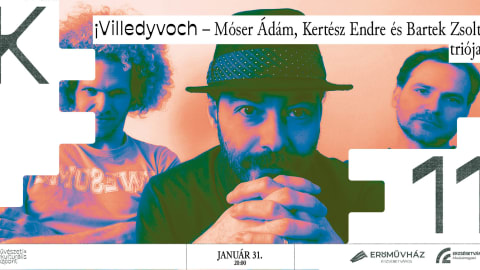 ¡Villedyvoch koncert