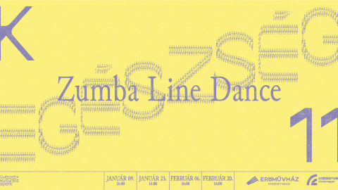 Zumba Line Dance // január és február