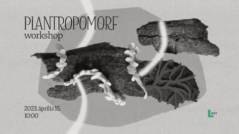 Plantropomorf grafikai workshop