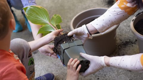 Színes ősz, zöld múzeum: őszi családi délelőtt