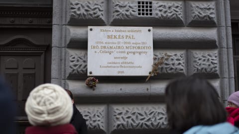 Otthon Csikágóban: történetek a Nefelejcs utcából // városi séta