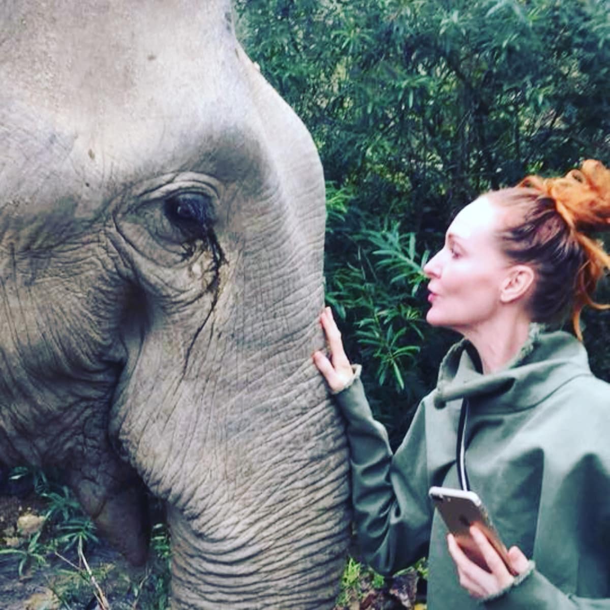 ELEPHANT ENCOUNTER