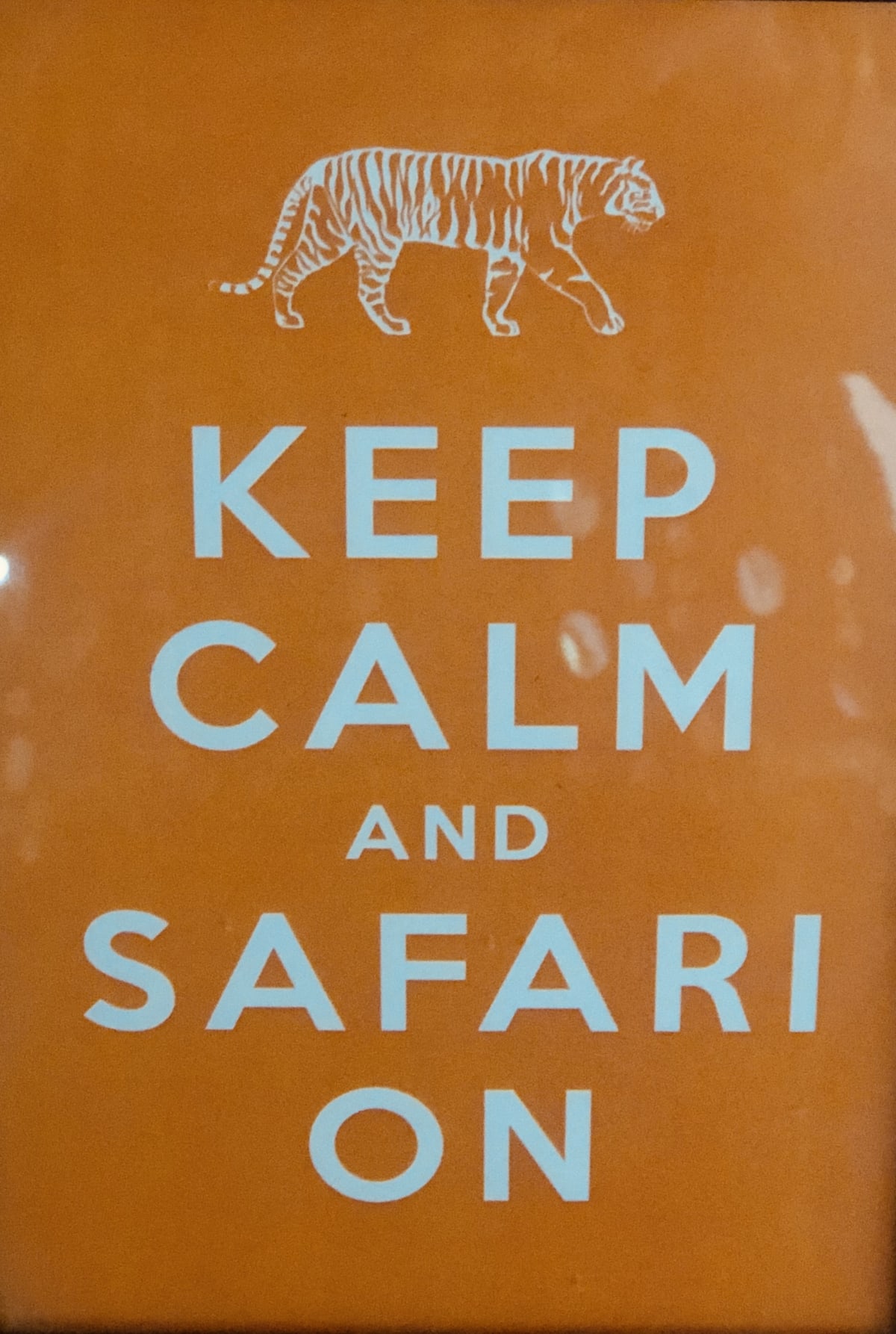 Tiger Safari In India- What A Thrill!