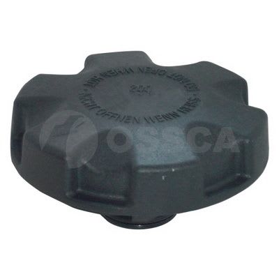 BMW 5 Series F10 N43 N46 N52 N55 N63 Radiator Cap