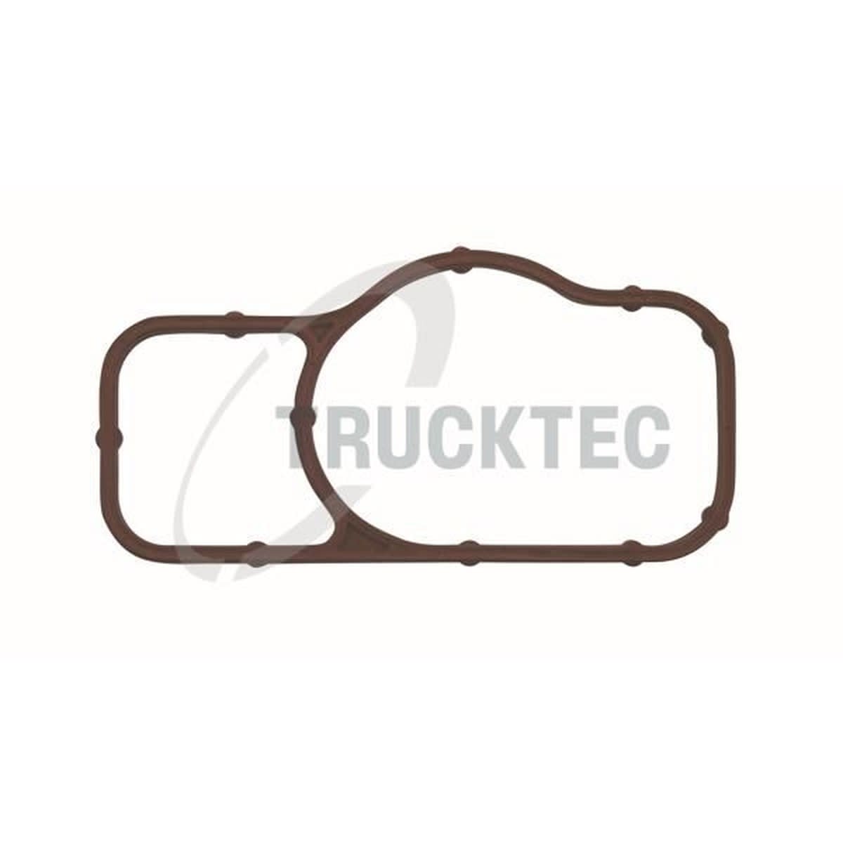 Mercedes GL Series W166 OM651 Water Pump Gasket