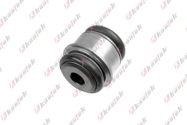 BMW 5 Series F10 B47 Control Arm Bushing Rear