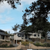 Narrow Neck Beach The Esplanade Hotel