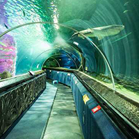 Kelly Tarlton’s Underwater World The Esplanade Hotel