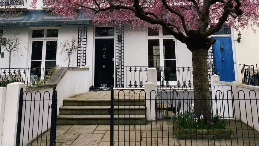 Spring blossoms in London