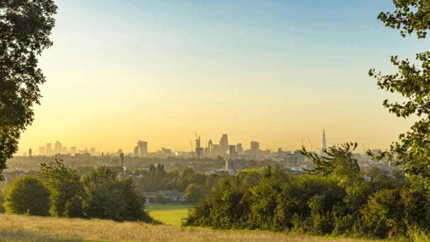 Hampstead Heath - dog friendly park