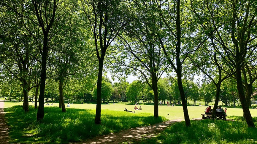 Mile End Park Picnic