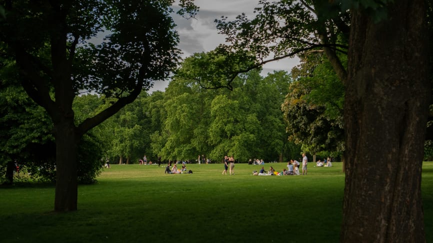 North London Picnics