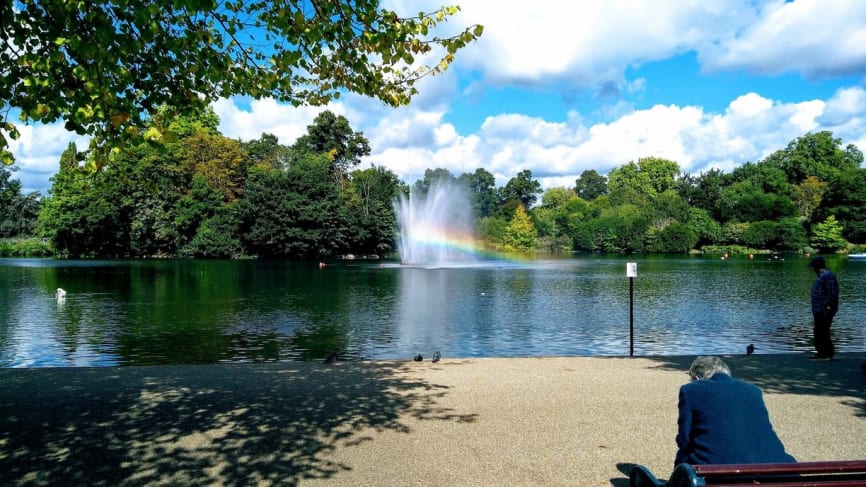 Victoria Park London Picnic